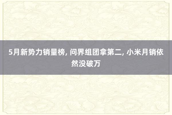 5月新势力销量榜, 问界组团拿第二, 小米月销依然没破万