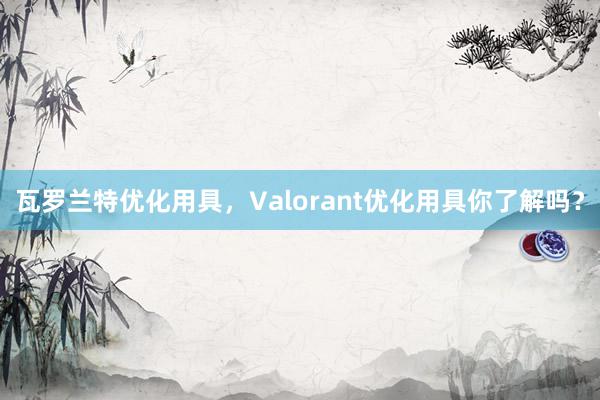 瓦罗兰特优化用具，Valorant优化用具你了解吗？