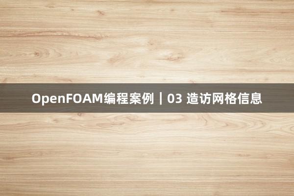 OpenFOAM编程案例｜03 造访网格信息