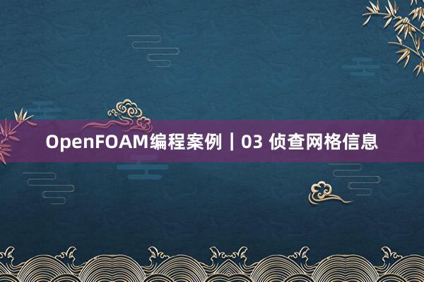 OpenFOAM编程案例｜03 侦查网格信息