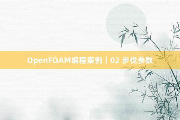 OpenFOAM编程案例｜02 步伐参数