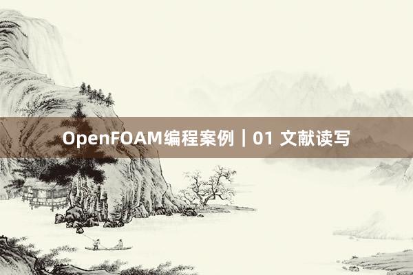 OpenFOAM编程案例｜01 文献读写