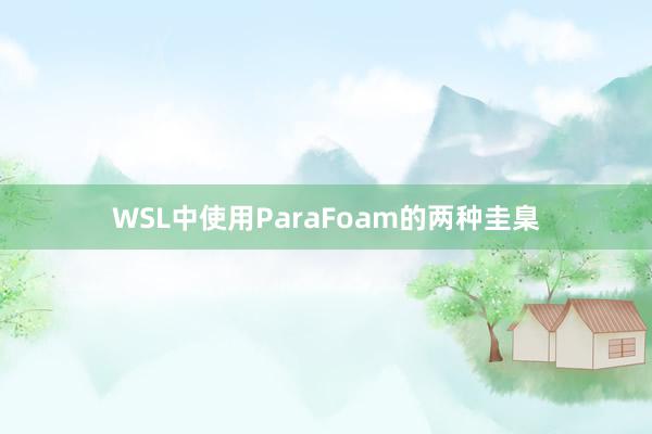 WSL中使用ParaFoam的两种圭臬