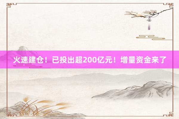 火速建仓！已投出超200亿元！增量资金来了