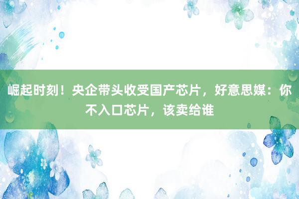 崛起时刻！央企带头收受国产芯片，好意思媒：你不入口芯片，该卖给谁