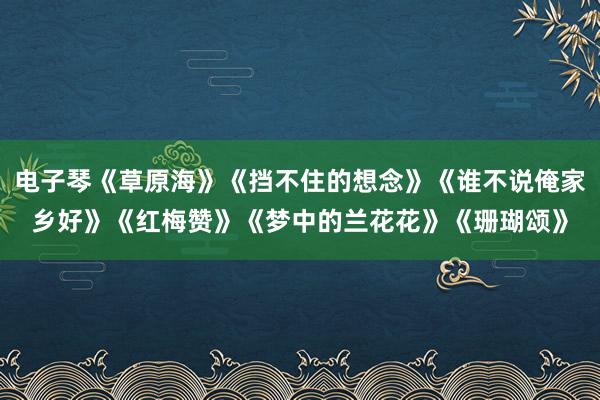 电子琴《草原海》《挡不住的想念》《谁不说俺家乡好》《红梅赞》《梦中的兰花花》《珊瑚颂》