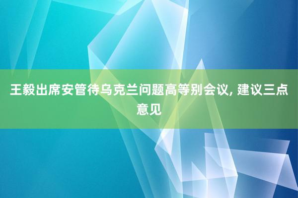 王毅出席安管待乌克兰问题高等别会议, 建议三点意见