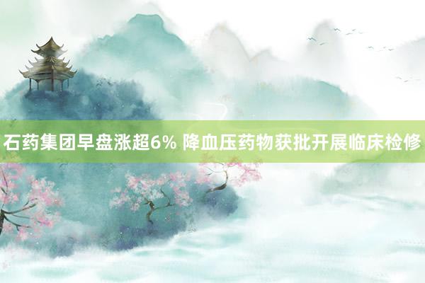 石药集团早盘涨超6% 降血压药物获批开展临床检修