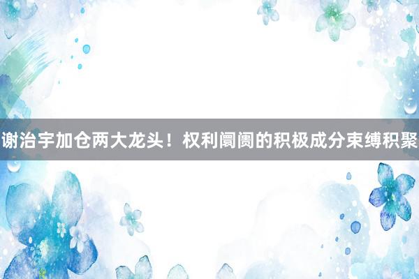 谢治宇加仓两大龙头！权利阛阓的积极成分束缚积聚