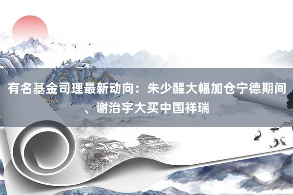 有名基金司理最新动向：朱少醒大幅加仓宁德期间、谢治宇大买中国祥瑞