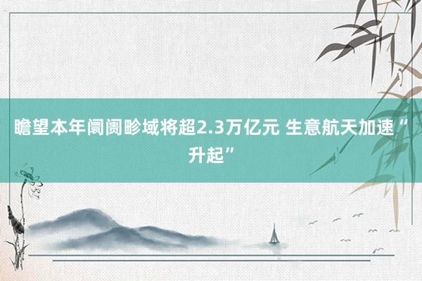 瞻望本年阛阓畛域将超2.3万亿元 生意航天加速“升起”